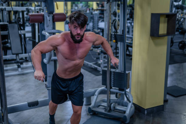 triceps polea